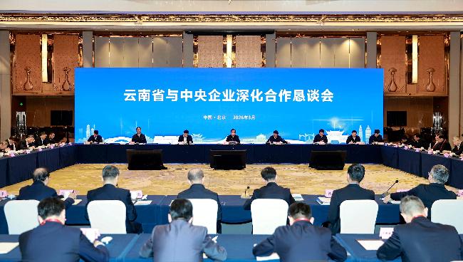 麻将胡了(中国官方)最新IOS/安卓版/手机版APP下载